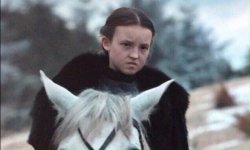 Lady Lyanna Mormont Meme Template