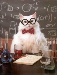 Chemistry Cat 2 Meme Template