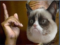 Grumpy Cat He's Right You Know Meme Template
