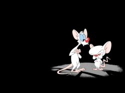 Pinky And The Brain Meme Template