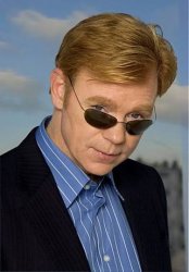 bad Pun David Caruso Meme Template