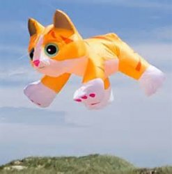 Inflatable Cat Meme Template