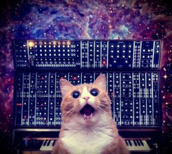 Cat on synthesizer in space Meme Template