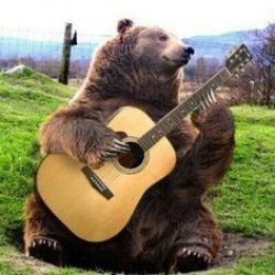 Singing bear Meme Template