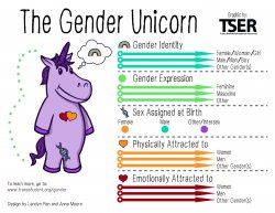 Gender unicorn  Meme Template