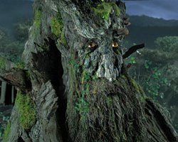 Treebeard  Meme Template