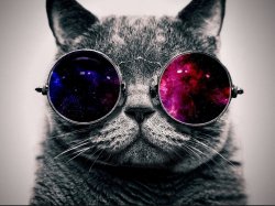 galaxy cat with glasses Meme Template
