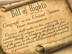 Bill of Rights Meme Template
