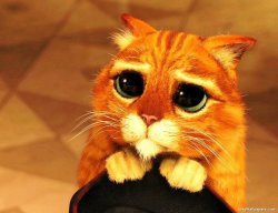 pussinboots Meme Template