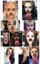 snapchat dog Meme Template