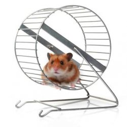 Hamster wheel Meme Template