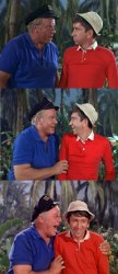 Gilligan Bad Pun Meme Template