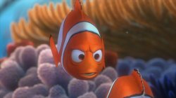 Nemo and Marlin Meme Template