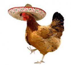Mexican chicken Meme Template