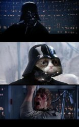 Star Wars grumpy father Meme Template