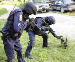 Cops Arrest Cat Meme Template