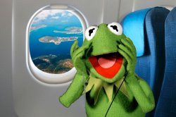 Kermit on a plane Meme Template