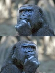 Thinking Gorilla On the One Hand Meme Template