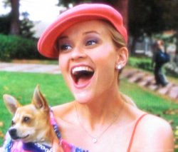 Legally blonde Meme Template