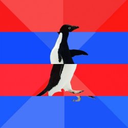 Socially-Awesome-Awkward-Awesome-Awkward-Penguin Meme Template