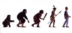 Evolution  Meme Template