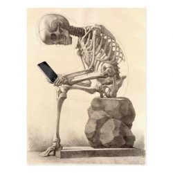 Skeleton checking cell phone Meme Template