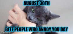 8/30 Bite People Who Annoy You Day: Cat Meme Template