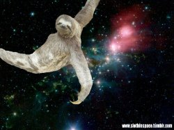 sloth in space Meme Template