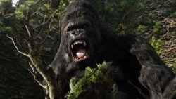 Kong angry Meme Template