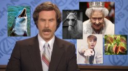 Sex Scandal of the Century Meme Template