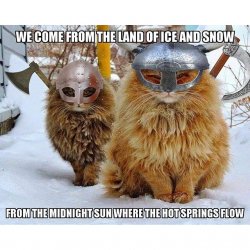 Snow Cats Meme Template