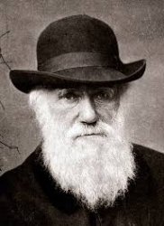 Charles Darwin Meme Template