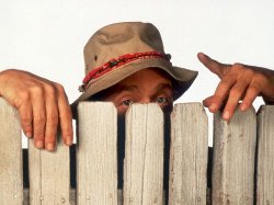 Home improvement Wilson  Meme Template