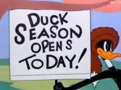 Oregon Duck Meme Template