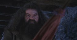 Hagrid Meme Template