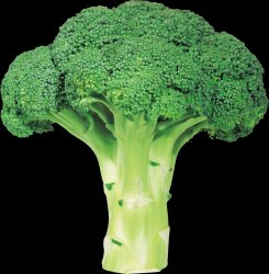 broccoli Meme Template