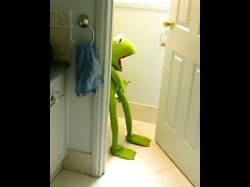 kermit the freg Meme Template