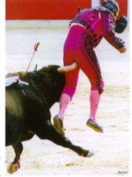 Matador Misery Meme Template