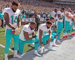 Miami Dolphins Kneeling Meme Template
