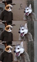 Grumpy Cat and Bad Pun Dog Meme Template