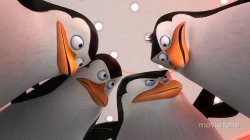 penguins squad Meme Template