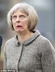 Theresa May Meme Template