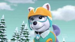 Everest PAW Patrol Meme Template