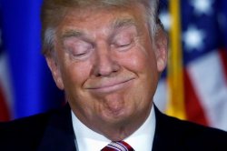 Don the Con Meme Template