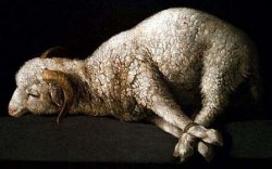 lambs to the slaughter Meme Template