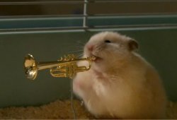 hamstertrumpet Meme Template