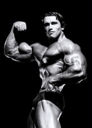 Schwarzenegger Posing Meme Template