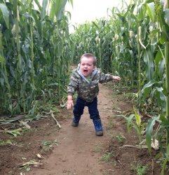 Corn Maze Kid Meme Template