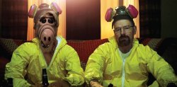 Breaking Bad Walt & Alf Meme Template