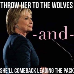 Hillary wolf in sheep's clothing Meme Template